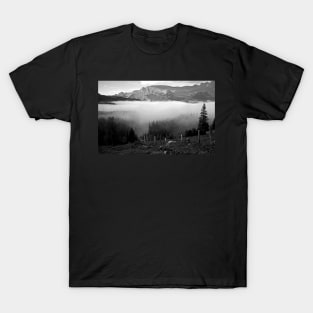 Near Grindelwald, Switzerland T-Shirt